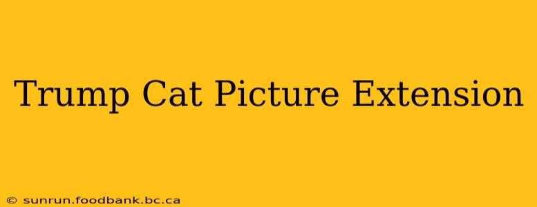 Trump Cat Picture Extension