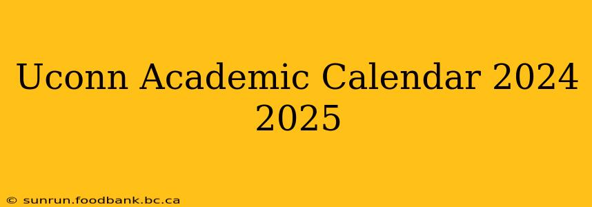 Uconn Academic Calendar 2024 2025