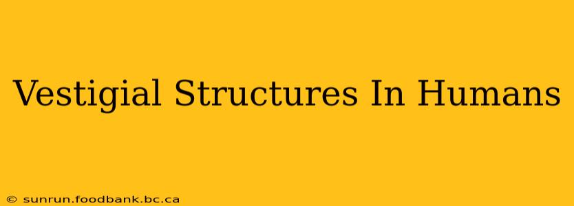 Vestigial Structures In Humans