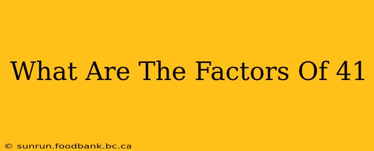 What Are The Factors Of 41