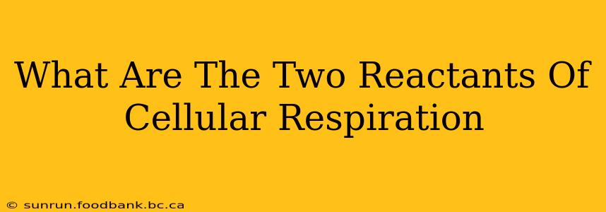 What Are The Two Reactants Of Cellular Respiration