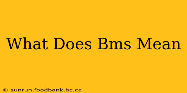 What Does Bms Mean