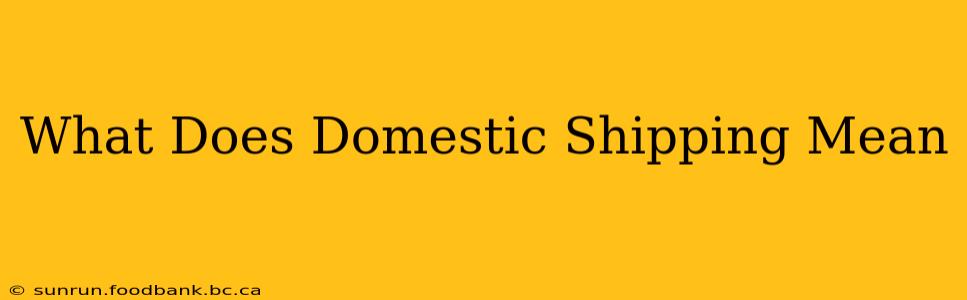 What Does Domestic Shipping Mean