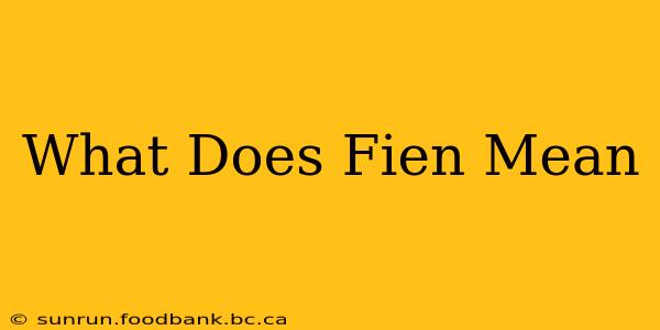 What Does Fien Mean