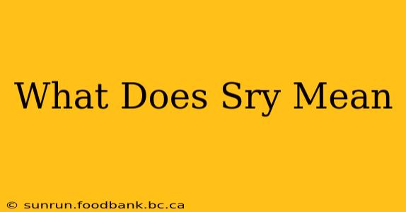 What Does Sry Mean