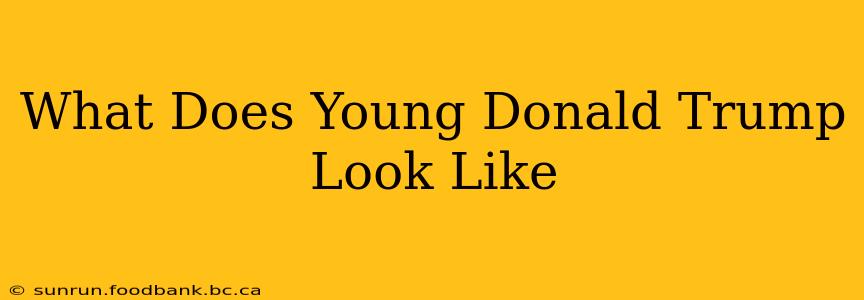 What Does Young Donald Trump Look Like