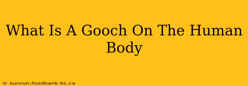 What Is A Gooch On The Human Body