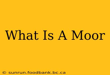 What Is A Moor