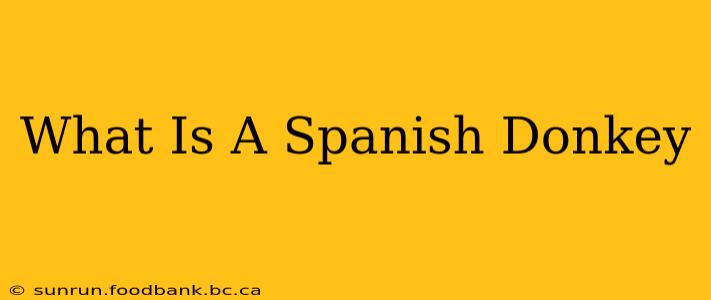 What Is A Spanish Donkey