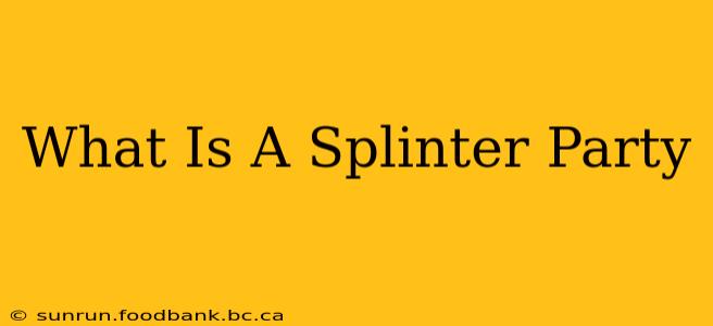 What Is A Splinter Party