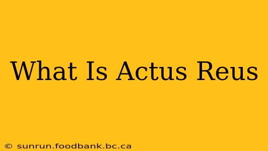 What Is Actus Reus