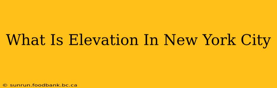 What Is Elevation In New York City