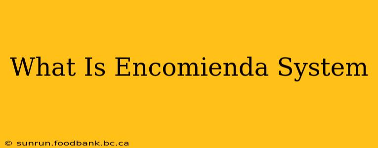 What Is Encomienda System