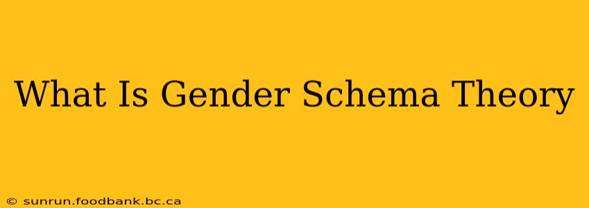 What Is Gender Schema Theory
