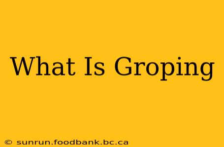 What Is Groping