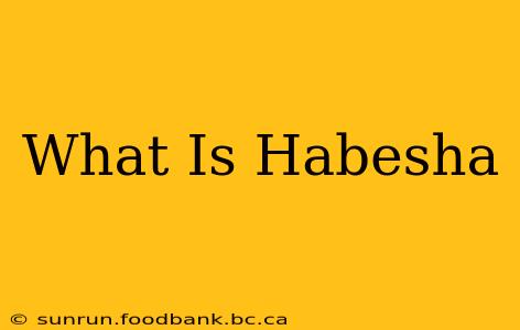 What Is Habesha