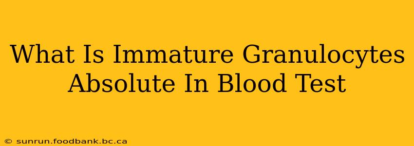 What Is Immature Granulocytes Absolute In Blood Test