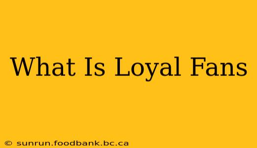 What Is Loyal Fans