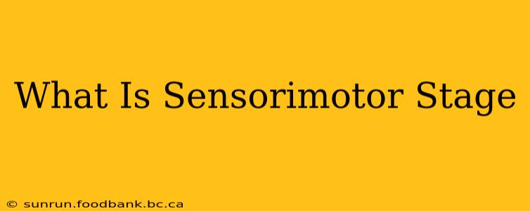 What Is Sensorimotor Stage