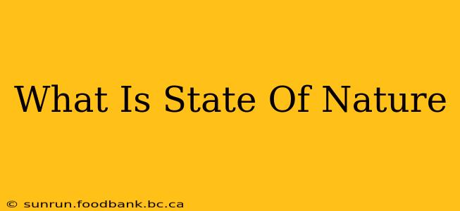 What Is State Of Nature