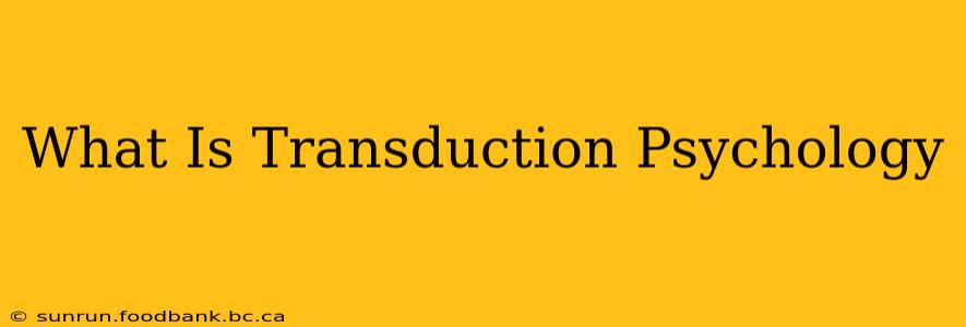 What Is Transduction Psychology