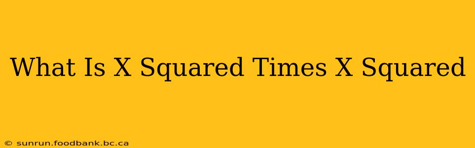 What Is X Squared Times X Squared