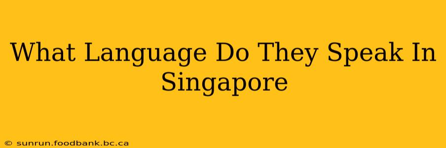 What Language Do They Speak In Singapore