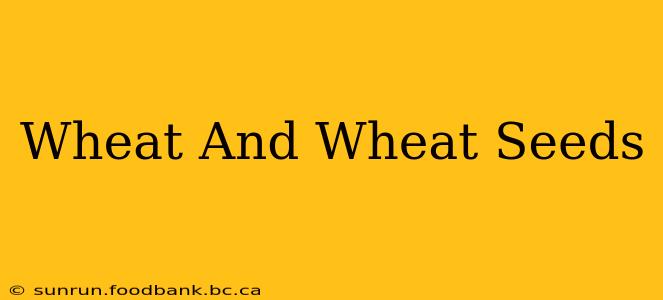 Wheat And Wheat Seeds