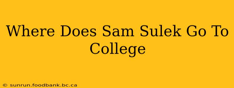 Where Does Sam Sulek Go To College