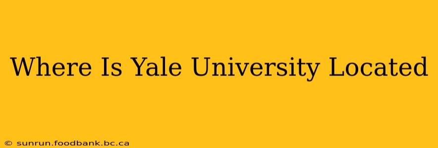 Where Is Yale University Located