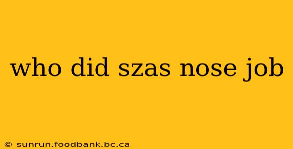 who did szas nose job
