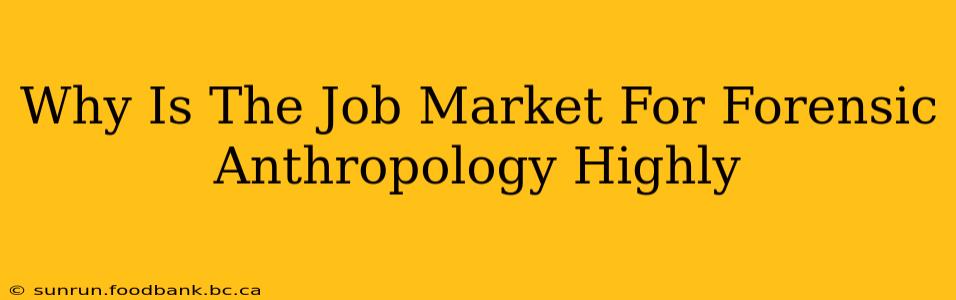 Why Is The Job Market For Forensic Anthropology Highly