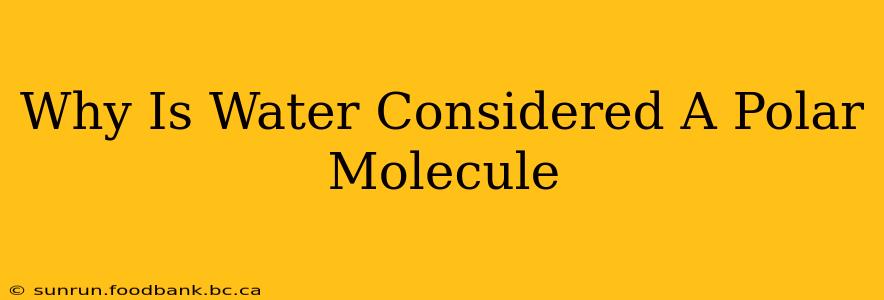 Why Is Water Considered A Polar Molecule