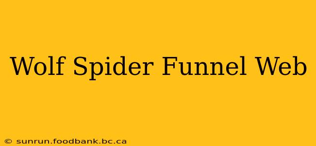 Wolf Spider Funnel Web